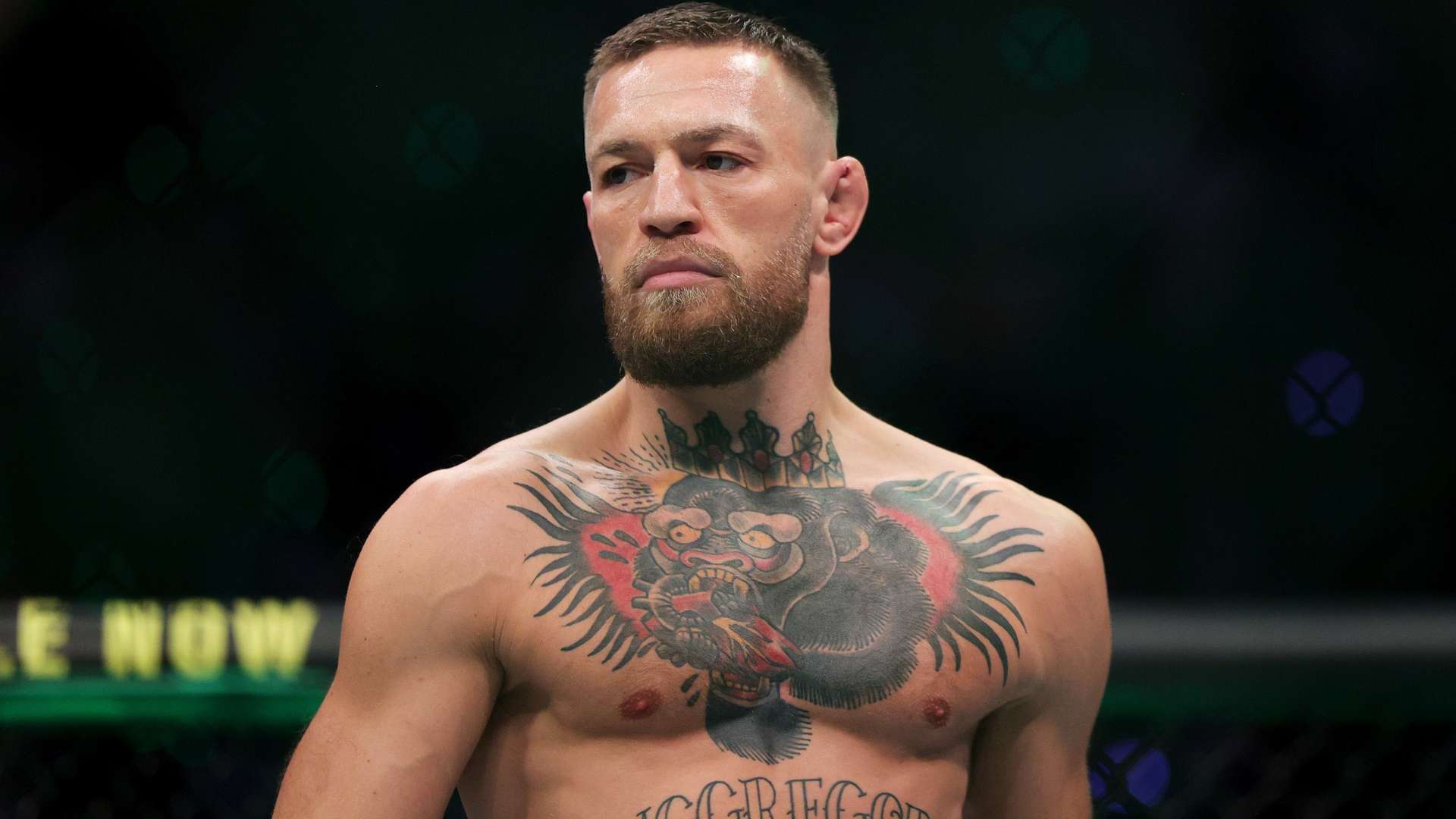 力和足球智 力和足球智